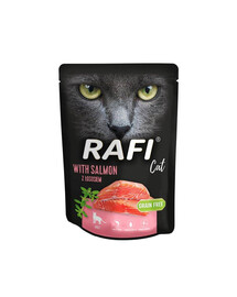 DOLINA NOTECI Rafi Cat drėgnas kačių ėdalas su lašiša 300 g