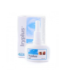 GEULINICX Iryplus 50ml akių preparatas šunims ir katėms