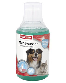 BEAPHAR Mundwasser Płyn Do Pielęgnacji Jamy Ustnej i Zębów Dla Psa i Kota 250 ml