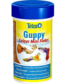 Tetra Guppy Colour 250 ml