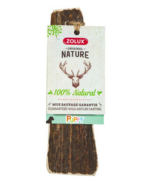 ZOLUX PUPPY elnio ragai šlifuotais kraštais