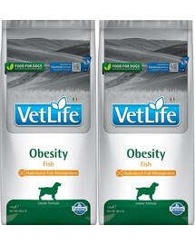 FARMINA Vet Life Obesity Fish dietinis maistas suaugusiems šunims 24 kg