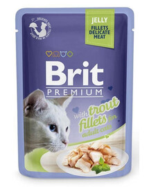BRIT Premium Cat  Fillets in Jelly drėgnas maistas su upėtakiais katėms 24x85g