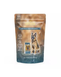 DIVINUS Performance aktyviems šunims 100 g