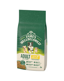 JAMES WELLBELOVED Adult 2 kg sausas visavertis ėdalas suaugusiems 1-7 metų šunims su ėriena ir ryžiais