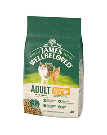 JAMES WELLBELOVED Adult 4 kg sausas visavertis ėdalas suaugusioms 1-7 metų katėms, kuriame gausu kalakutienos