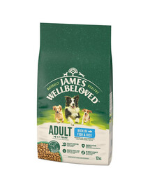 JAMES WELLBELOVED Adult 12 kg sausas visavertis pašaras suaugusiems 1-7 metų šunims, kuriame gausu žuvies ir ryžių