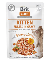 BRIT CARE Fillets in Gravy Pouch Kitten Savory Salmon 24x85g su lašiša kačiukams