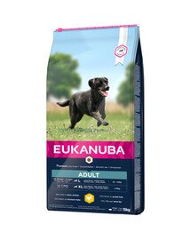 Eukanuba Adult Large Breeds Chicken 15 kg