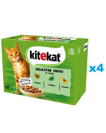 KITEKAT Švelnių skonių 48x85 g visavertis drėgnas ėdalas suaugusioms katėms su kalakutiena, triušiena ir paukštiena padaže