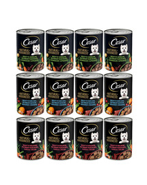CESAR puszka 12x400g - mokra karma pełnoporcjowa dla dorosłych psów (z jagnięciną i warzywami, z wołowiną i warzywami, z kurczakiem i warzywami)