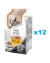 SHEBA Fresh & Fine 72x50g mokra pełnoporcjowa karma dla dorosłych kotów w sosie z kurczakiem, z indykiem