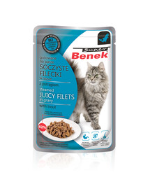 Super Fileciki w sosie z pstrągiem 85 g