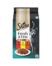 SHEBA Fresh & Fine 6x50 g drėgnas kačių ėdalas su jautiena, vištiena, ėriena