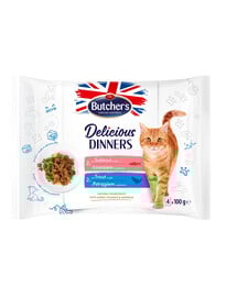 Delicious Dinners kawałki w galaretce dla dorosłych kotów 4x100g z łososiem, z pstrągiem