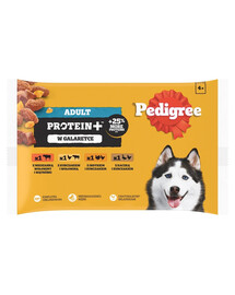 PEDIGREE Adult Protein+ 4x85 g visavertis drėgnas ėdalas suaugusiems šunims su jautienos ir kepenų, vištienos ir jautienos, kalakutienos ir vištienos, anties ir vištienos mišiniu drebučiuose.