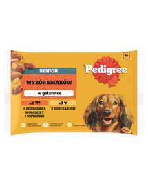 PEDIGREE Senior Choice of Flavours 4x100g drėgnas visavertis ėdalas suaugusiems šunims su jautienos ir kepenų mišiniu, vištienos drebučiais