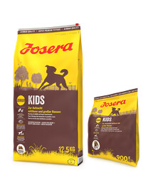 JOSERA Kids 12,5kg dla młodych psów ras średnich i dużych + 900g GRATIS
