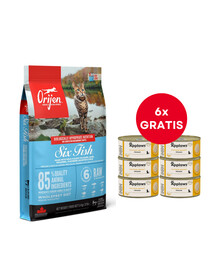 ORIJEN 6 Fish Cat 5.4 kg + APPLAWS Cat Adult Mousse Chicken putėsiai su vištiena 6 x 70g NEMOKAMAI