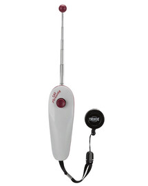 Wskaźnik treningowy dla kota