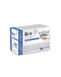BRIT Veterinary Diet Grain Free Recovery Cat Fillets in Gravy Salmon 12x85g katėms reabilitacijos laikotarpiu