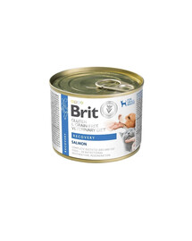 BRIT Veterinary Diet Grain Free Recovery 200 g lašiša ir vištienos kepenėlės šunims ir katėms reabilitacijos laikotarpiu