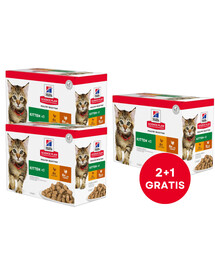 HILL'S Science Plan Feline Kitten Multipack Chicken & Turkey 85 g x12 Szt. (2+1 NEMOKAMAI)