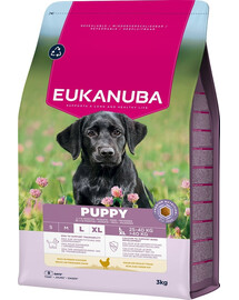 EUKANUBA Puppy Large Breeds Chicken 3 kg sausas maistas didelių veislių šuniukams, turintis šviežio vištienos