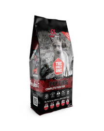 ALPHA SPIRIT Visavertis sausas šuniukų maistas 2 x 12 kg