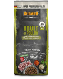 BELCANDO Grain Free Adult Poultry 22,5 kg be grūdų šunų maistas vidutinio ir didelio dydžio veislėms