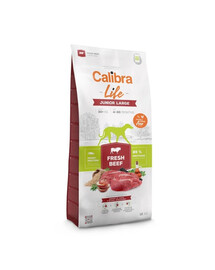 CALIBRA Dog Life Junior Large Fresh Beef 12 kg jaunų didelių veislių šunims su šviežia jautiena