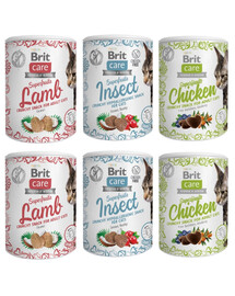BRIT Care Snack Superfruits Mix smaków 6x100g przysmak dla kota z kurczakiem, insektami i jagnięciną