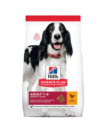 HILL'S Science Plan Adult Medium breed sausas maistas su vištiena 14 kg + NEMOKAMI skanėstai