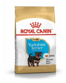 ROYAL CANIN Yorkshire Terrier Puppy Junior Sausas maistas šuniukams iki 10 mėnesių, veislė – jorkšyro terjeras, 12 x 0,5 kg