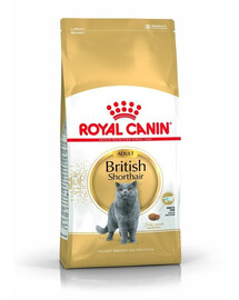 ROYAL CANIN British Shorthair Sausas maistas suaugusiems britų trumpaplaukiams katėms, 24 x 400 g