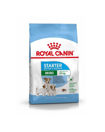 ROYAL CANIN Mini Starter Mother & Babydog 4x1 kg sausas maistas nėščioms ir žindančioms kalėms bei 4–8 savaičių amžiaus mažų veislių šuniukams