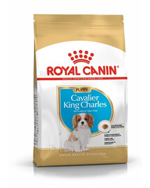 ROYAL CANIN Cavalier King Charles Spaniel Puppy Sausas maistas šuniukams iki 10 mėnesių, veislė – kavalieriaus karolio spanielis, 4 x 1,5 kg