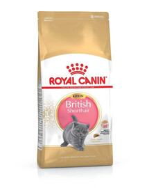 ROYAL CANIN British Shorthair Kitten 12x400 g sausas maistas kačiukams iki 12 mėnesių, britų trumpaplaukės veislės