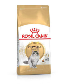 ROYAL CANIN Norvegian 4x2 kg sausas maistas suaugusiems norvegų miško kačių veislės katėms