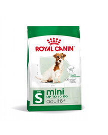 ROYAL CANIN Mini Adult 8+ 24x800 g sausas maistas šunims, vyresniems nei 8–12 metų, mažų veislių