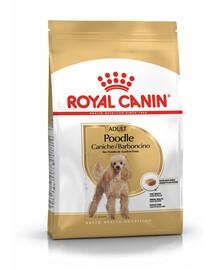 ROYAL CANIN Poodle Adult 2x1,5 kg sausas maistas suaugusiems miniatiūrinių pudelių veislės šunims