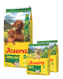 JOSERA Mother and Puppy Salmon with Rice 12,5kg dla szczeniąt, suk w ciąży oraz suk karmiących + 2x900g karmy GRATIS