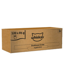 WHISKAS drėgnas maistas katėms su paukštiena želė 120 x 85 g 120+40 DOVANA