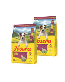 JOSERA Lamb Adult Mini 2x3kg vienos rūšies baltymų turintis maistas mažiesiems šunims