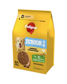 PEDIGREE Junior 3x2,6 kg su paukštiena ir daržovėmis – sausas visavertis pašaras augantiems didelių ir vidutinių veislių šunims