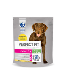 PERFECT FIT Adult 1+ visavertis sausas pašaras didelių veislių suaugusiems šunims, turintis daug vištienos, 6 x 825 g, 4+2 GRATIS.