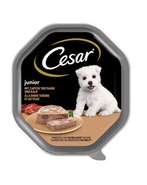 CESAR Junior 14 x 150 g Kalakutienos ir veršienos paštetas šuniukams nuo 7 metų NEMOKAMAI