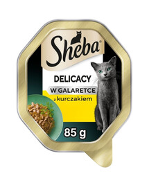 SHEBA Delicacy su vištiena želė 44 x 85 g drėgnas maistas katėms 22+22 DOVANŲ