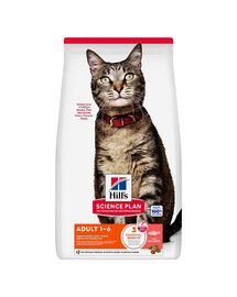 HILL'S Science Plan Feline Adult Salmon 10 kg sausa maistas su lašiša suaugusiems katėms