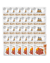 BRIT Care Fillets in Gravy Mix 48 x 85 g ančių ir lašišų filė su padažu katėms
